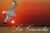 Fotos de “La Gaviota” Fuente De Soda Y Restaurant