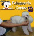 Fotos de Agro Animales