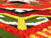 Fotos de Alfombras Las Vegas