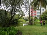 Fotos de Alquiler De Apartamento Vacacional En El Caribbean Beach