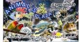 Fotos de Animal´s Plaza, C.a. Rif: J-29362561-0