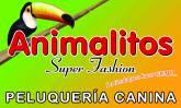Fotos de Animalitos Super Fashion
