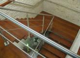 Fotos de Arquideas