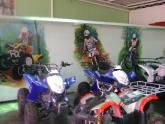 Fotos de Artimoto La Victoria, C.a