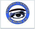 Fotos de Asesorías Y Servicios Ojo Pelao, C.a.