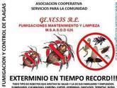 Fotos de Asoc. Coop. Servicios Para La Comunidad Genesis, Rl