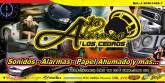 Fotos de Auto Alarmas Los Cedros, C.a.