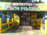 Fotos de Auto Repuestos Y Accesorios Los Pilones