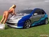 Autopartes Accesorios Y Lubricantes Fermin, C.a.