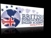 British International English Academy, C.a.