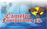 Fotos de Camelot Fumigaciones
