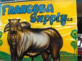 Fotos de Carniceria Frangoba Supply C.a