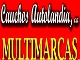 Fotos de Cauchos Autolandia
