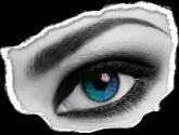 Fotos de Cejasycejas.com