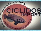 Fotos de Ciclidos Import