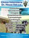 Clinica Veterinaria Dr House Vet