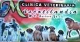 Clinica Veterinaria Mascotilandia