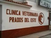 Fotos de Clinica Veterinaria Prados Del Este