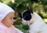 Fotos de Consultorio Veterinario Grupo Sivca