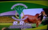 Fotos de Distribuidora Agropecuaria R.r.