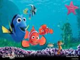 Fotos de Distribuidora De Mascotas “El Pez Nemo” C.a.
