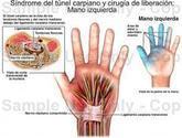 Fotos de Dr. Carlos Guerra Echeverria