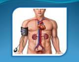 Fotos de Dr. Cruz Rodríguez Hernández. Endocrinólogo - Diabetólogo