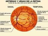 Fotos de Dr. Juan Carlos Pineda. U