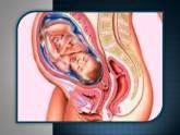 Fotos de Dr. Juvenal Aliendres. Ginecólogo-Obstetra.rif: V-04944312-5