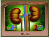 Fotos de Dra. Yrma Garreta Avila. Nefrología -Transplante Renal.
