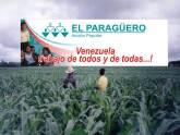 Fotos de El Paraguero-Accion Civil
