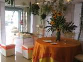 Fotos de Eventos Camino Real