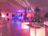 Fotos de Eventos Y Decoraciones Casa Grande C.a.