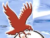 Falco Inversiones Paraguana C.a.