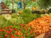 Fotos de Feria De Las Verduras Las Acacias (Bocono)