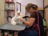 Fotos de Fishcenter, Su Tienda De Mascotas.