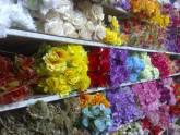 Fotos de Floristeria Aiskel