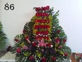 Fotos de Floristeria Araca, C.a.