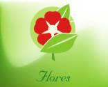 Floristeria Flores Hv Y Algo Mas...! C.a. J-29836276-6