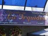 Fotos de Floristeria La Orquidea