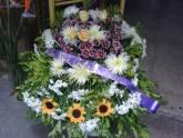 Floristeria Las Mil Rosas