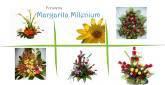 Fotos de Floristeria Margarita Milenium, C.a