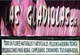 Fotos de Floristería Y Manualidades Las Gladiolas C.a.