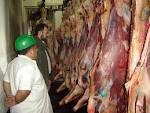 Fotos de Frigorifico El Paseo Ii