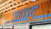 Fotos de Full Aquarium, Alta Peluqueria