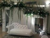 Fotos de Full Rosas Arte Y Jardin C.a