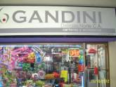 Fotos de Gandini Delicias Norte