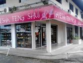 Fotos de Ganesha Feng Shui