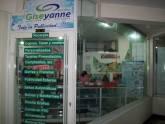 Giseyanne, C.a. Rif.: J-31430874-2