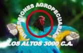 Fotos de Inversiones Agropecuarias Los Altos 3000